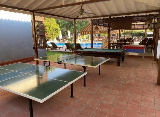 Table Tennis